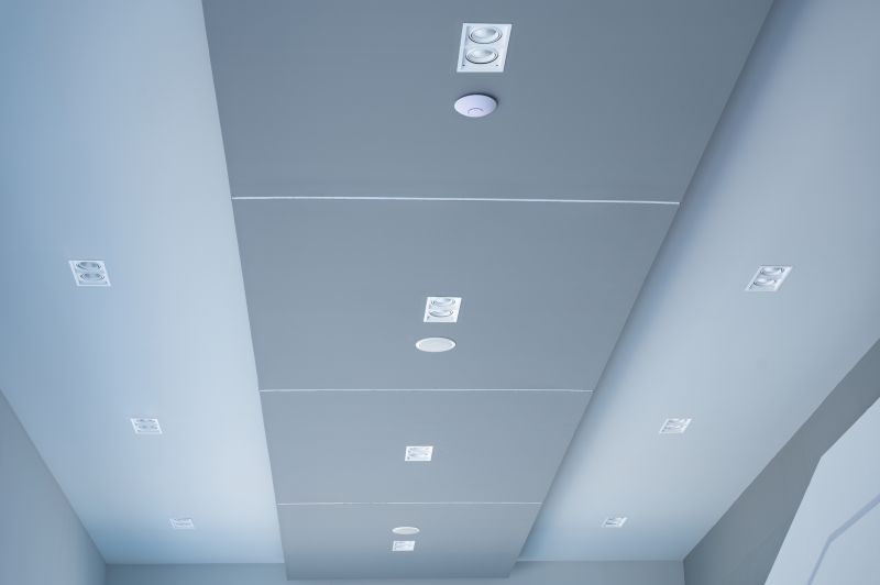Ceiling Painting Pro