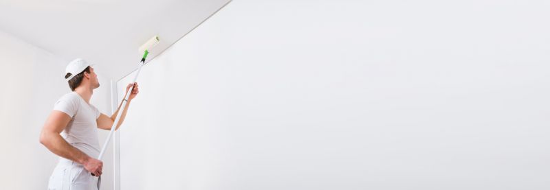 Ceiling Painting Pro