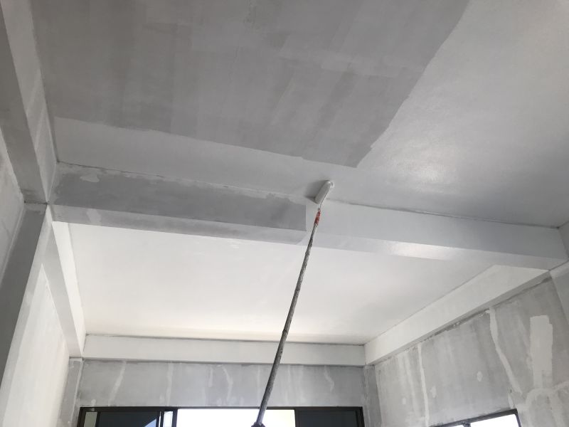 Ceiling Painting Pro