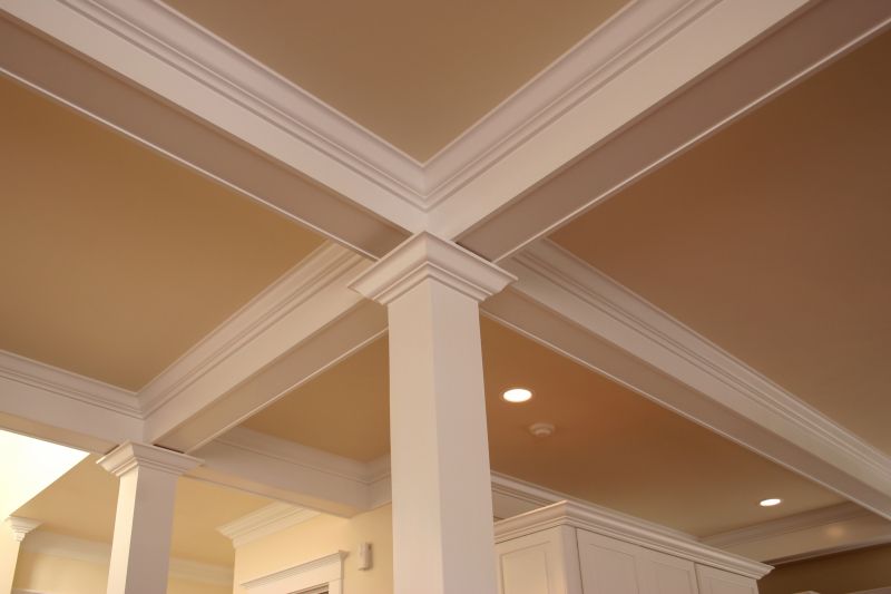 Elegant Ceiling Murals